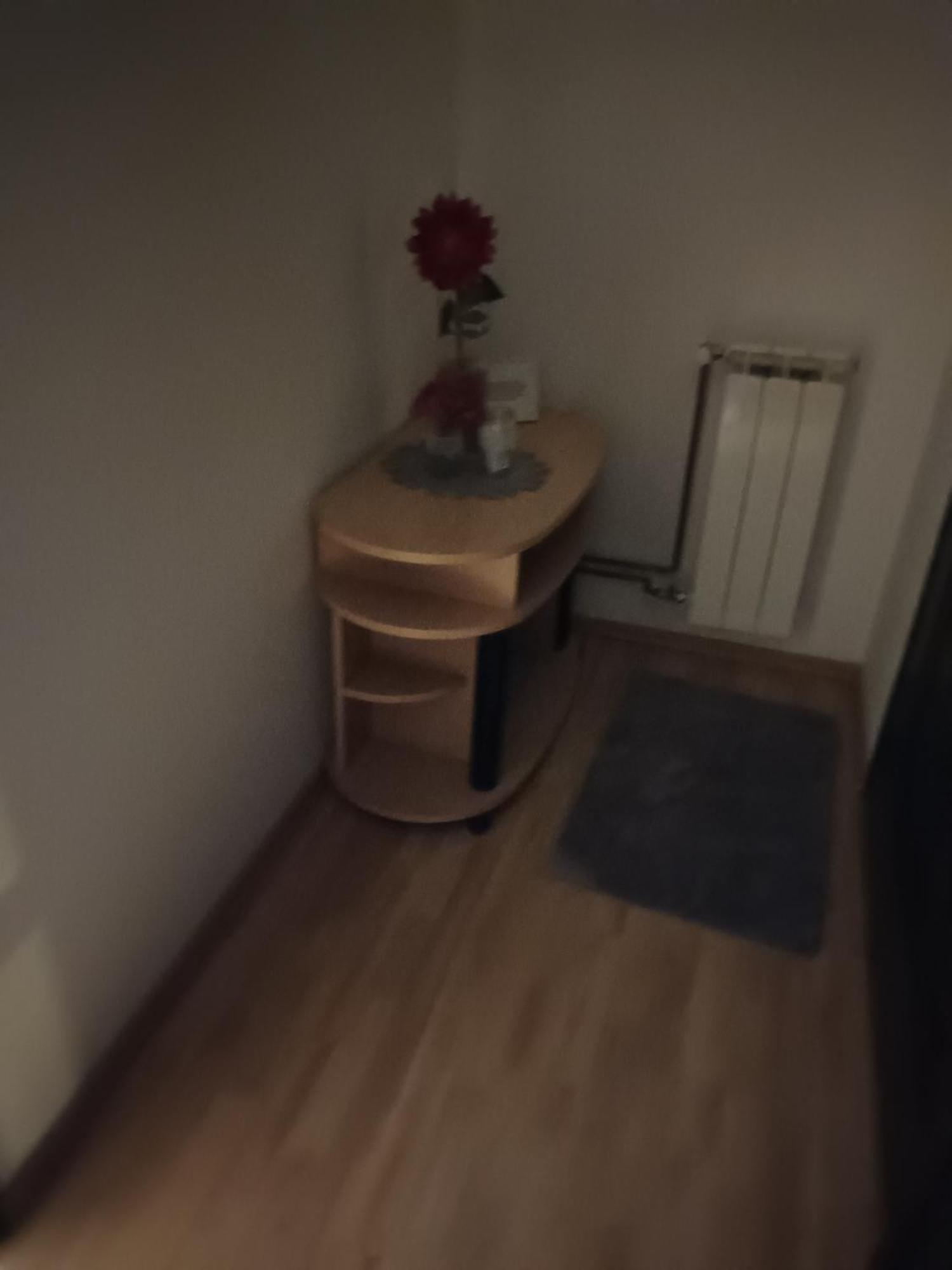Studio Apartman Salopek 오굴린 외부 사진